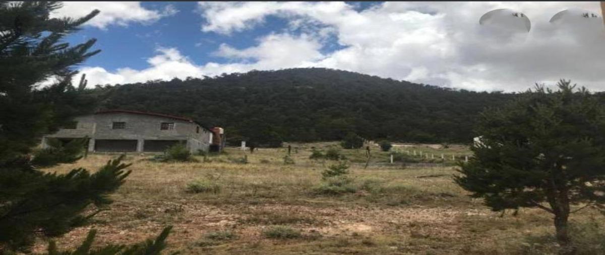 Foto de terreno habitacional en venta en  , san antonio de las alazanas, arteaga, coahuila de zaragoza, 24484151 No. 04