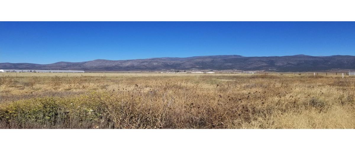 Foto de terreno habitacional en venta en  , san antonio de las alazanas, arteaga, coahuila de zaragoza, 0 No. 03