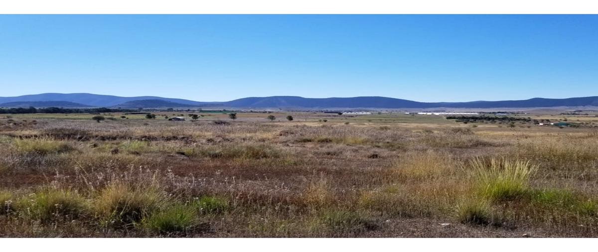 Foto de terreno habitacional en venta en  , san antonio de las alazanas, arteaga, coahuila de zaragoza, 0 No. 03