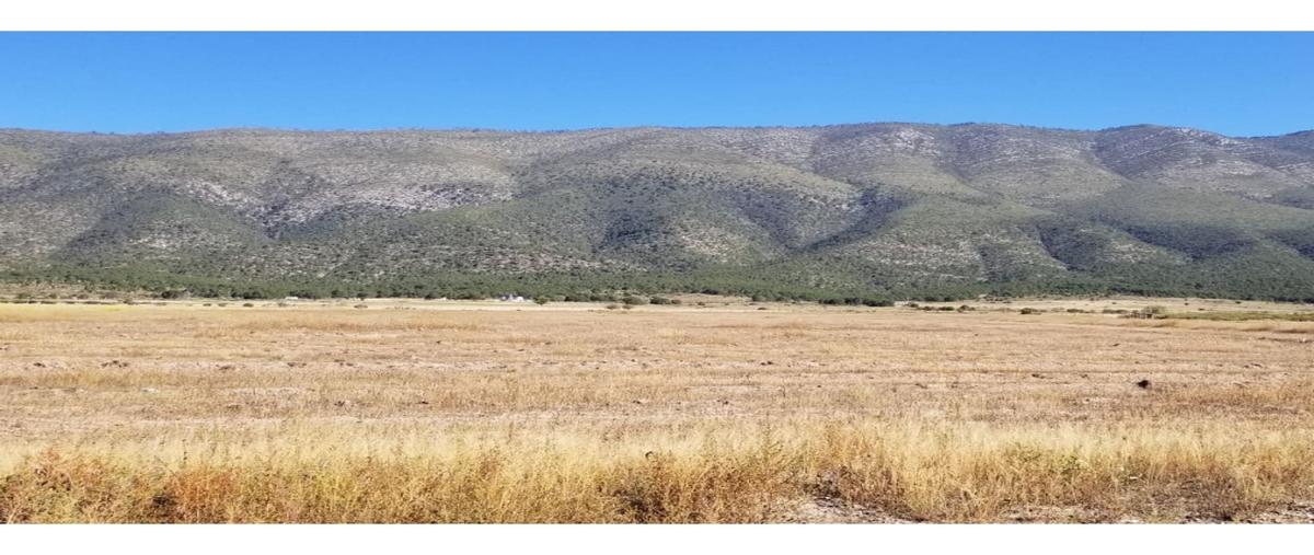 Foto de terreno habitacional en venta en  , san antonio de las alazanas, arteaga, coahuila de zaragoza, 0 No. 05