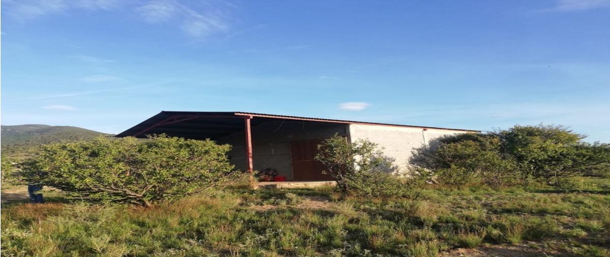 Foto de terreno habitacional en venta en  , san antonio de las alazanas, arteaga, coahuila de zaragoza, 0 No. 05