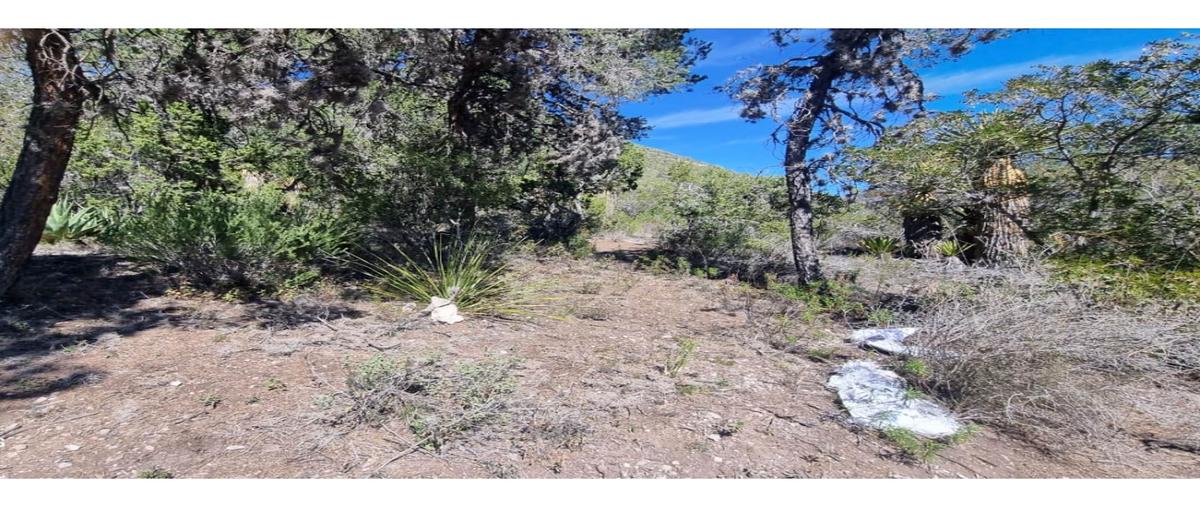 Foto de terreno habitacional en venta en  , san antonio de las alazanas, arteaga, coahuila de zaragoza, 0 No. 03