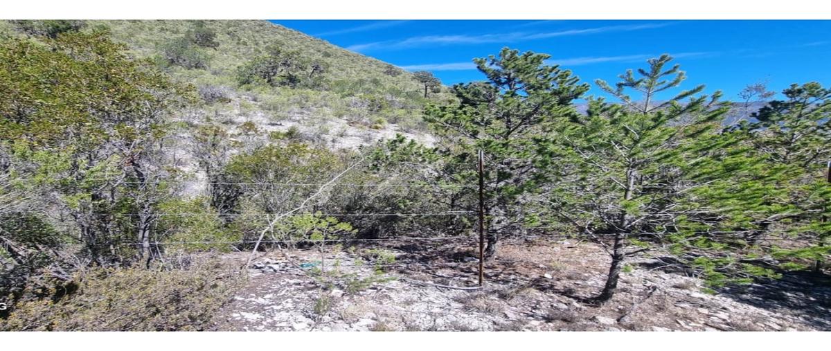 Foto de terreno habitacional en venta en  , san antonio de las alazanas, arteaga, coahuila de zaragoza, 0 No. 04