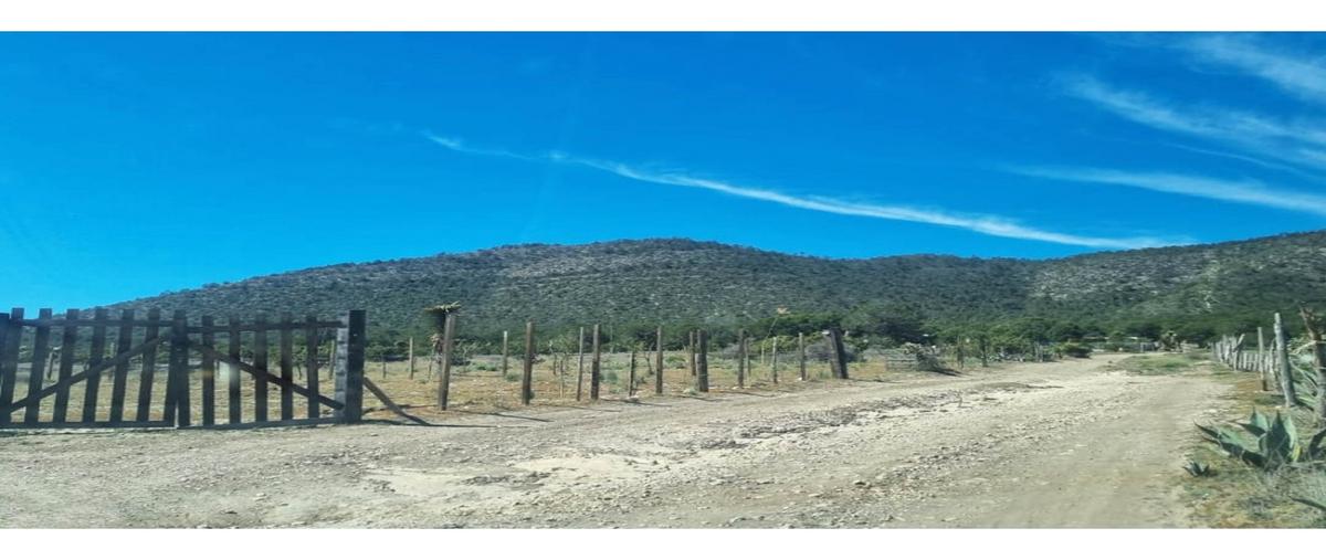 Foto de terreno habitacional en venta en  , san antonio de las alazanas, arteaga, coahuila de zaragoza, 0 No. 05