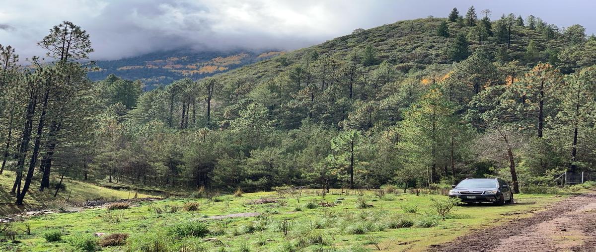 Foto de terreno habitacional en , san antonio de las alazanas, arteaga, coahuila de zaragoza, 0 foto 02 Foto de terreno habitacional en venta en , san antonio de las alazanas, arteaga, coahuila de zaragoza, 0 No. 02