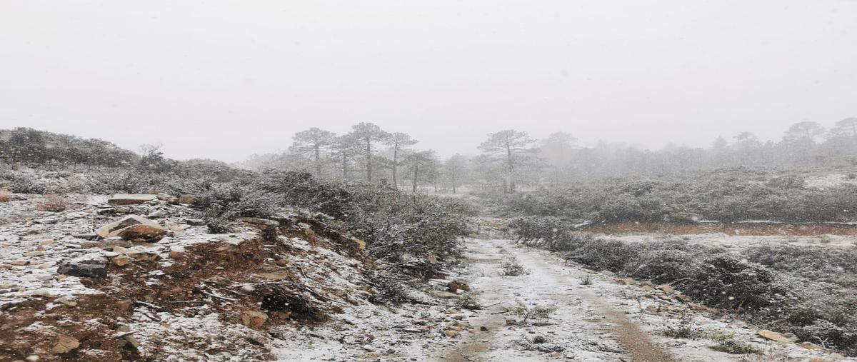 Foto de terreno habitacional en , san antonio de las alazanas, arteaga, coahuila de zaragoza, 0 foto 04 Foto de terreno habitacional en venta en , san antonio de las alazanas, arteaga, coahuila de zaragoza, 0 No. 04