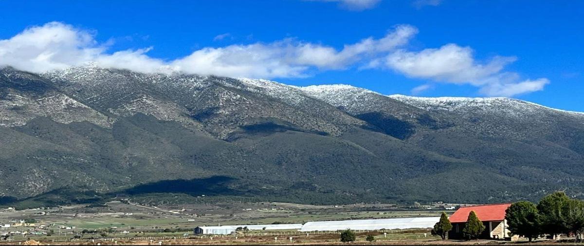 Foto de terreno habitacional en venta en  , san antonio de las alazanas, arteaga, coahuila de zaragoza, 29397868 No. 03