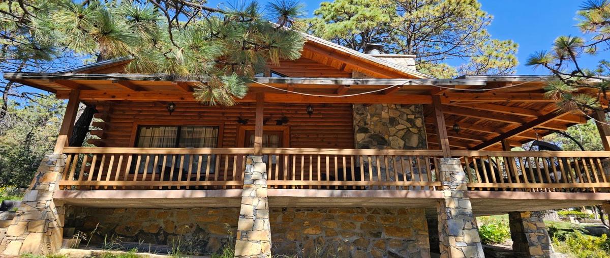 Foto de rancho en venta en  , san antonio de las alazanas, arteaga, coahuila de zaragoza, 30543450 No. 03