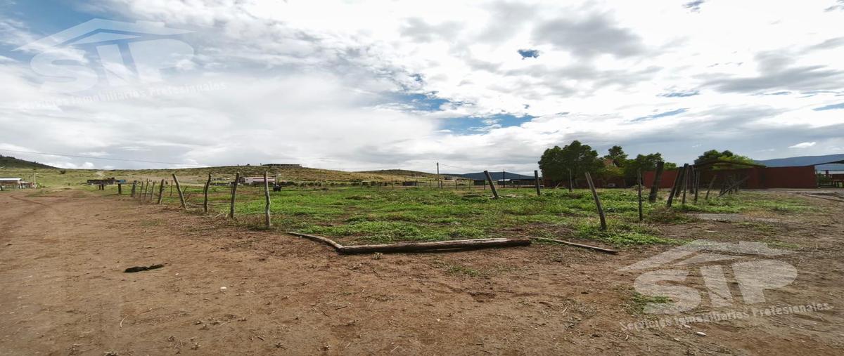Foto de terreno habitacional en venta en  , san antonio de las alazanas, arteaga, coahuila de zaragoza, 0 No. 03