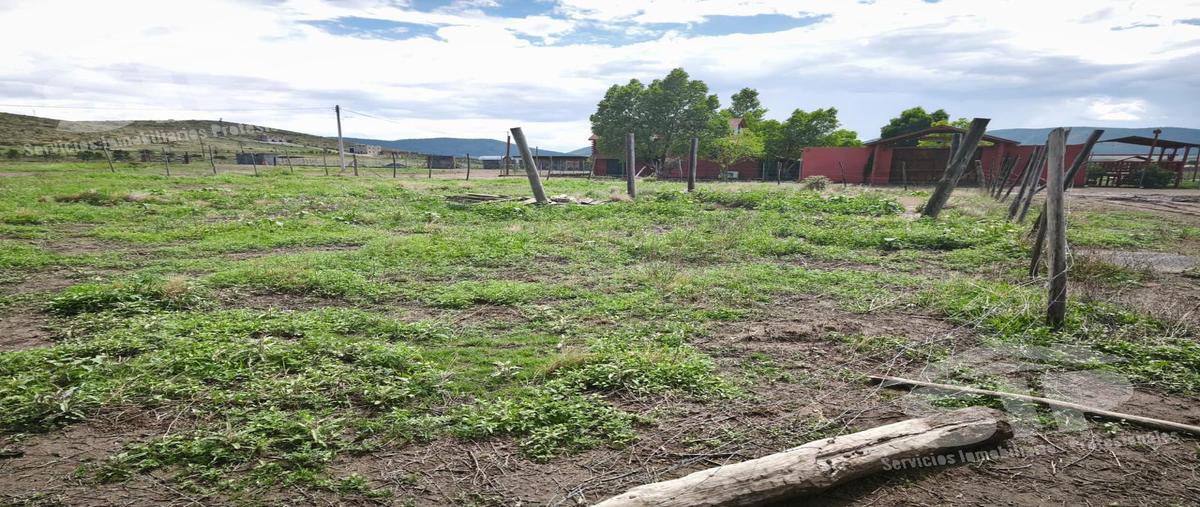 Foto de terreno habitacional en venta en  , san antonio de las alazanas, arteaga, coahuila de zaragoza, 0 No. 04