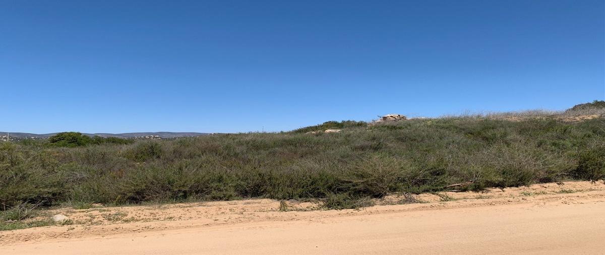 Foto de terreno habitacional en , san antonio de las minas, ensenada, baja california, 25429781 foto 04 Foto de terreno habitacional en venta en , san antonio de las minas, ensenada, baja california, 25429781 No. 04
