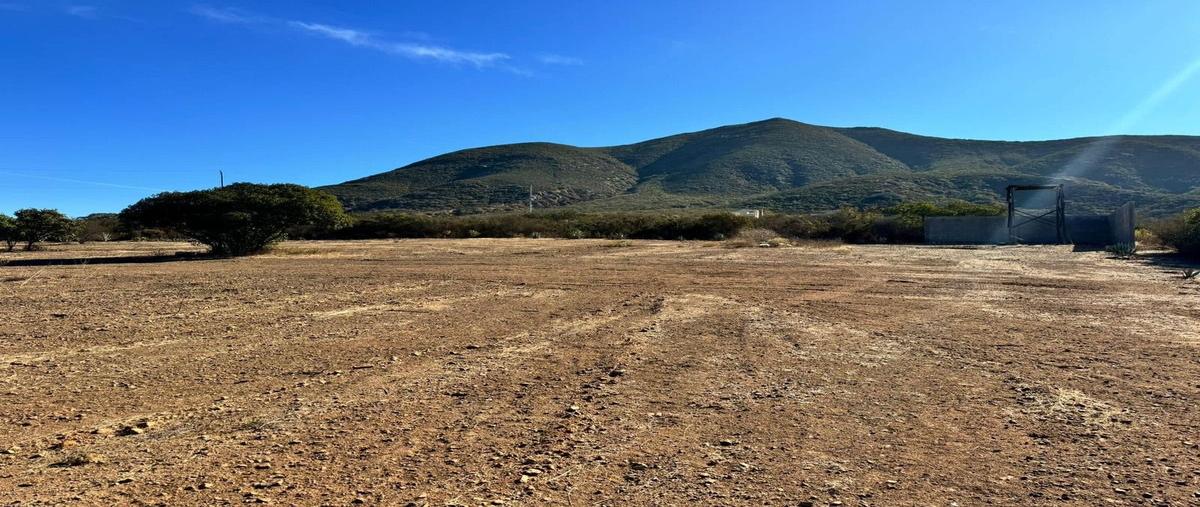 Foto de terreno habitacional en venta en  , san antonio de las minas, ensenada, baja california, 0 No. 03