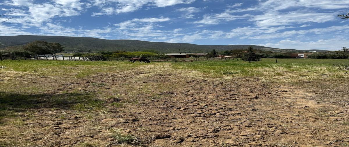 Foto de terreno habitacional en , san antonio de las minas, ensenada, baja california, 0 foto 04 Foto de terreno habitacional en venta en , san antonio de las minas, ensenada, baja california, 0 No. 04