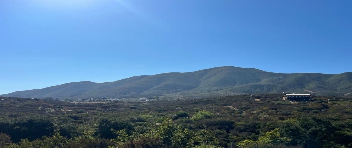 Foto de terreno habitacional en , san antonio de las minas, ensenada, baja california, 0 foto 01 Foto de terreno habitacional en venta en , san antonio de las minas, ensenada, baja california, 0 No. 01