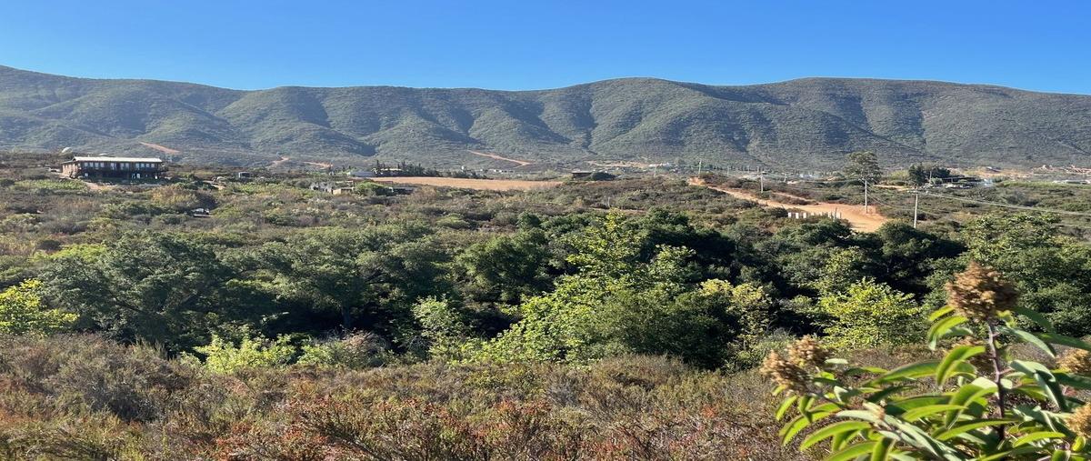 Foto de terreno habitacional en , san antonio de las minas, ensenada, baja california, 0 foto 02 Foto de terreno habitacional en venta en , san antonio de las minas, ensenada, baja california, 0 No. 02