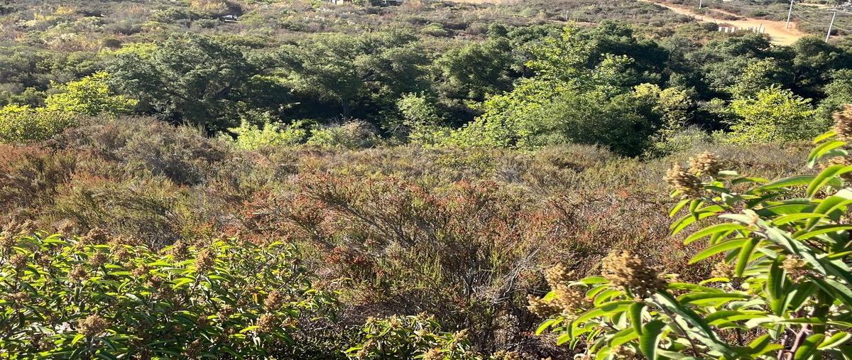 Foto de terreno habitacional en , san antonio de las minas, ensenada, baja california, 0 foto 03 Foto de terreno habitacional en venta en , san antonio de las minas, ensenada, baja california, 0 No. 03