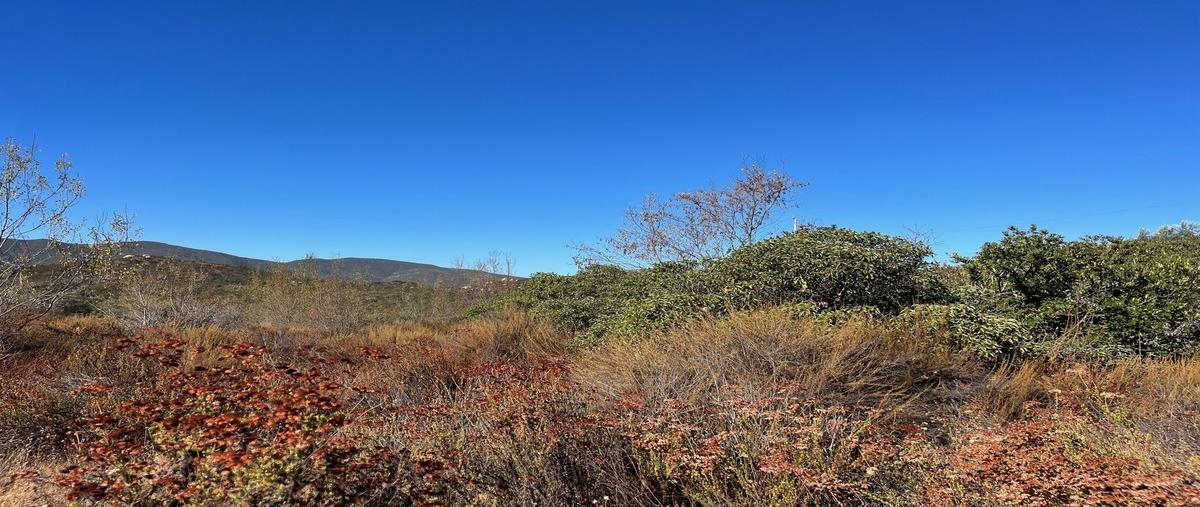 Foto de terreno habitacional en , san antonio de las minas, ensenada, baja california, 0 foto 04 Foto de terreno habitacional en venta en , san antonio de las minas, ensenada, baja california, 0 No. 04