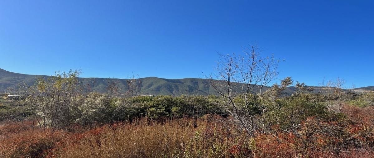 Foto de terreno habitacional en , san antonio de las minas, ensenada, baja california, 0 foto 05 Foto de terreno habitacional en venta en , san antonio de las minas, ensenada, baja california, 0 No. 05