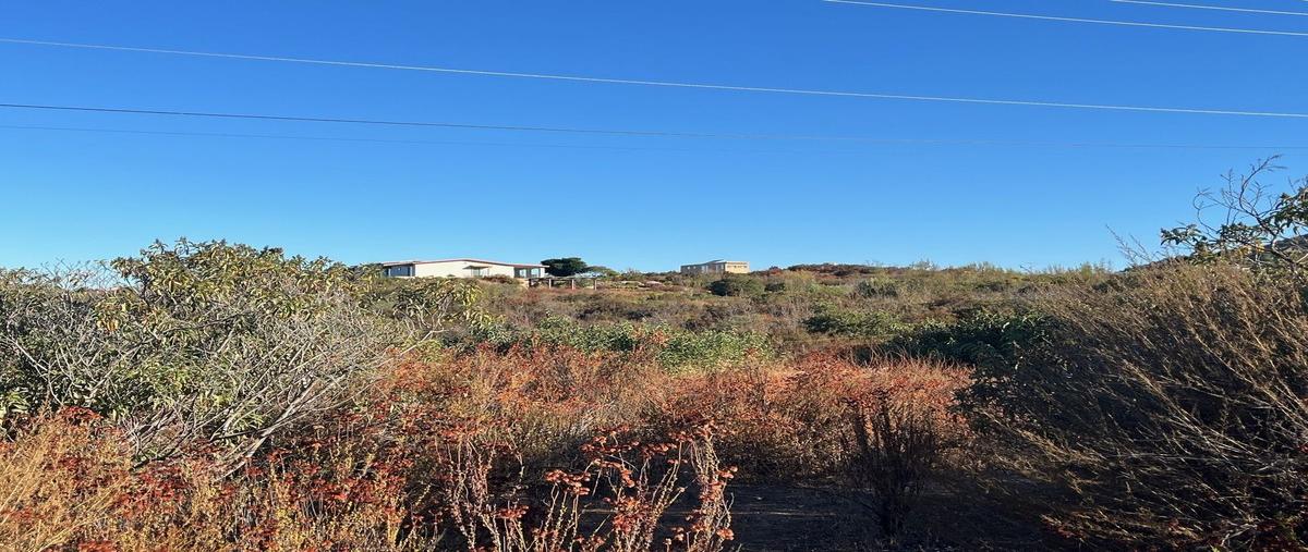 Foto de terreno habitacional en venta en  , san antonio de las minas, ensenada, baja california, 0 No. 03