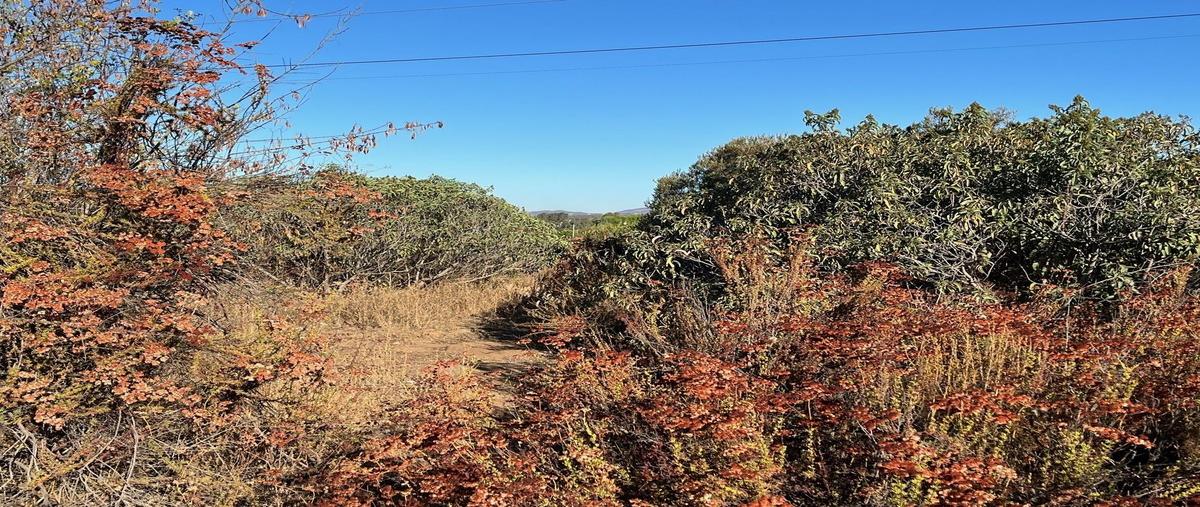 Foto de terreno habitacional en venta en  , san antonio de las minas, ensenada, baja california, 0 No. 05