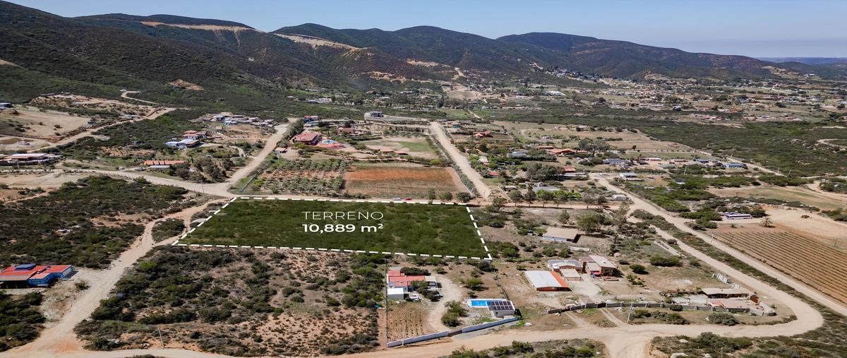 Foto de terreno habitacional en venta en  , san antonio de las minas, ensenada, baja california, 0 No. 03