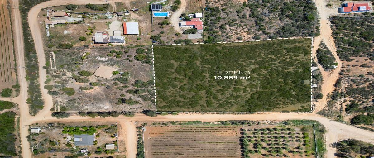 Foto de terreno habitacional en venta en  , san antonio de las minas, ensenada, baja california, 0 No. 04