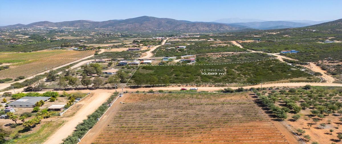 Foto de terreno habitacional en venta en  , san antonio de las minas, ensenada, baja california, 0 No. 05