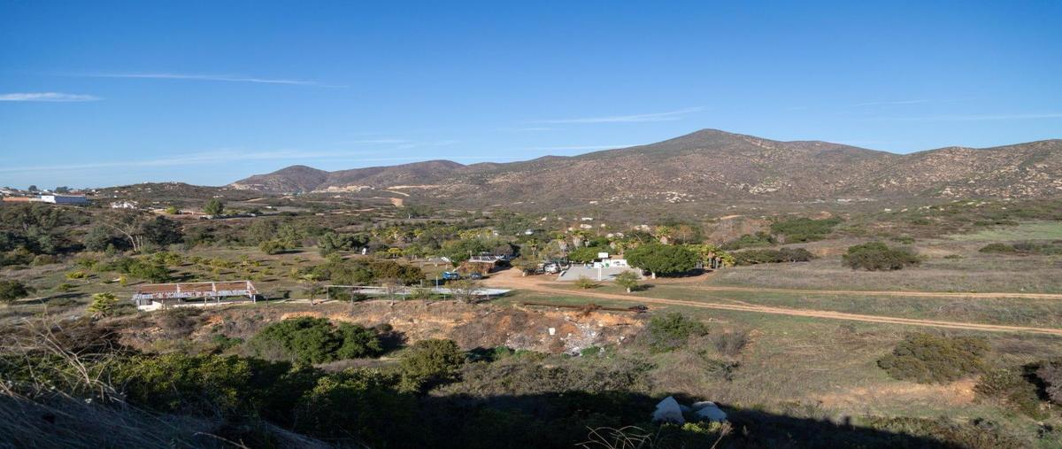Foto de rancho en venta en san antonio de las minas , villa de juárez (san antonio de las minas), ensenada, baja california, 0 No. 03