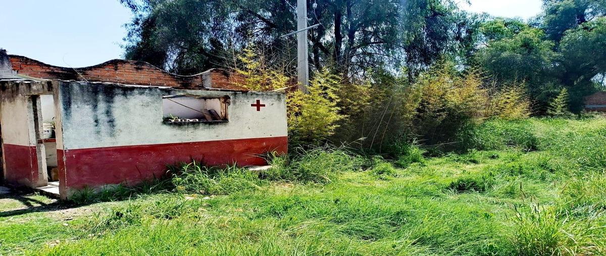 Foto de terreno comercial en venta en san antonio de los espinozas , san juan de la vega, celaya, guanajuato, 0 No. 03