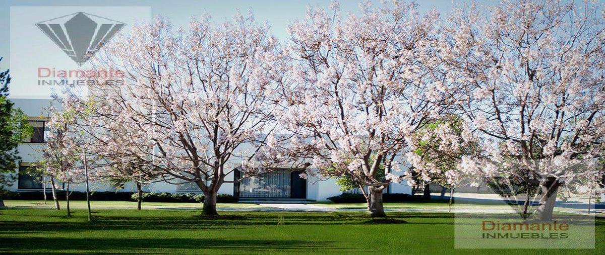 Foto de terreno habitacional en venta en  , san antonio de los horcones, jesús maría, aguascalientes, 0 No. 03