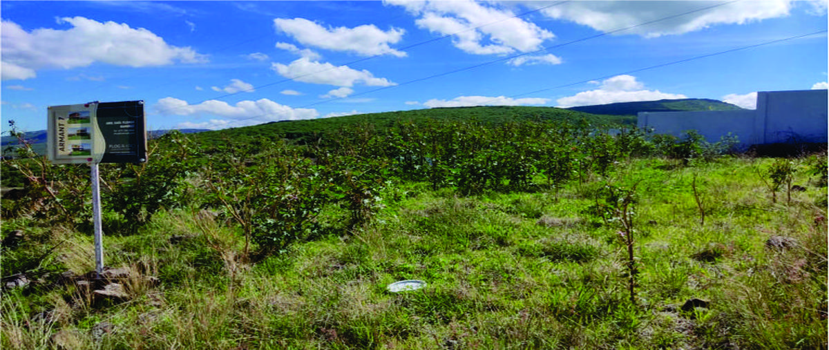 Foto de terreno habitacional en venta en  , san antonio de los reyes, lagos de moreno, jalisco, 0 No. 05