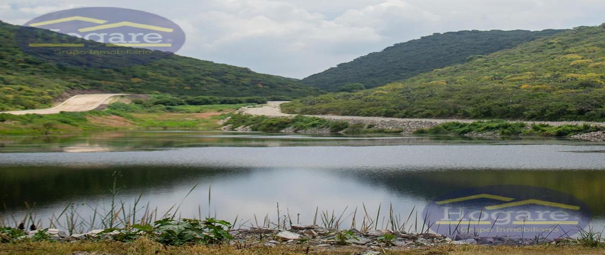 Foto de terreno habitacional en venta en  , san antonio de los reyes, lagos de moreno, jalisco, 0 No. 03