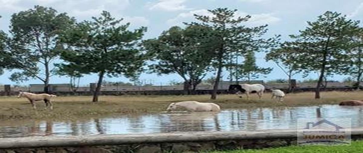 Foto de terreno habitacional en venta en  , san antonio de los reyes, lagos de moreno, jalisco, 0 No. 03
