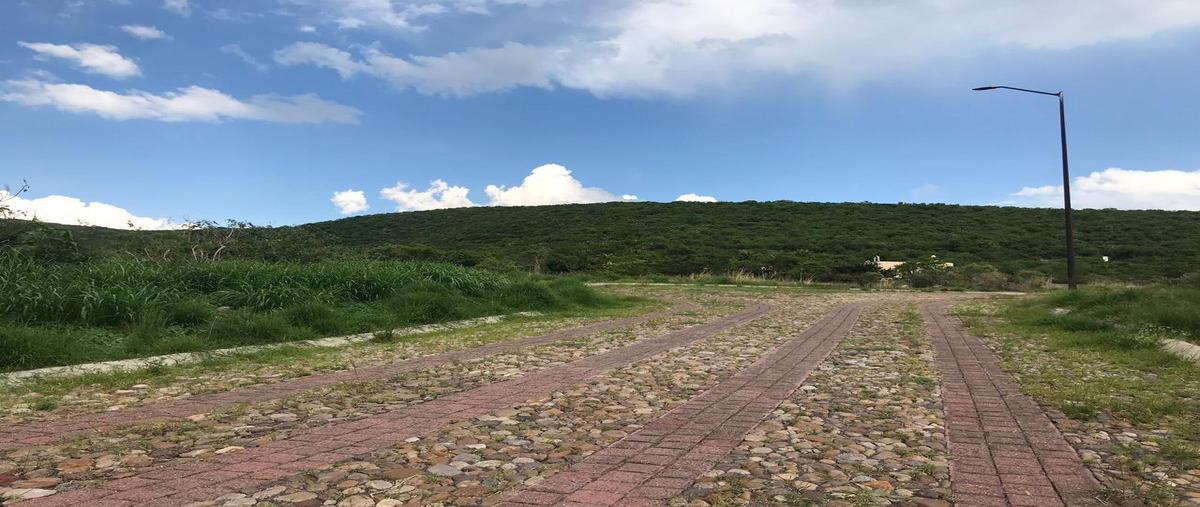 Foto de terreno habitacional en venta en  , san antonio de los reyes, lagos de moreno, jalisco, 8467741 No. 05