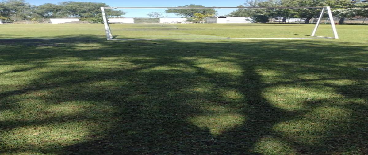 Foto de terreno comercial en renta en  , san antonio de los tepetates, león, guanajuato, 0 No. 04