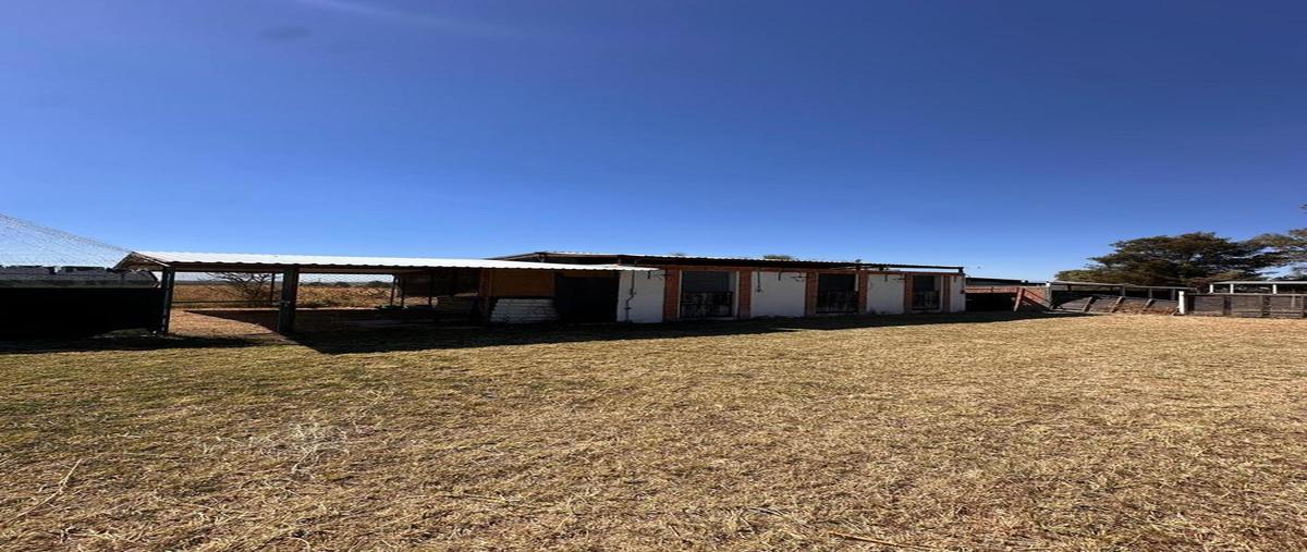 Foto de terreno habitacional en venta en  , san antonio de peñuelas, aguascalientes, aguascalientes, 0 No. 05