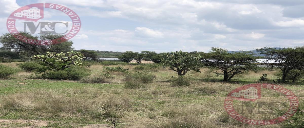 Foto de terreno habitacional en venta en  , san antonio de peñuelas, aguascalientes, aguascalientes, 0 No. 05