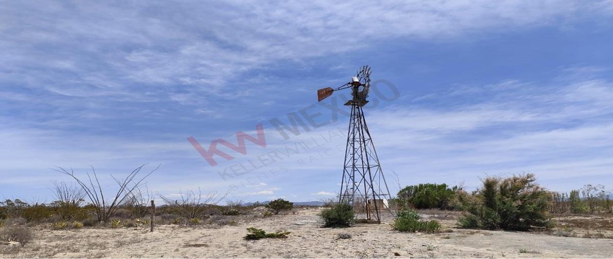 Foto de terreno habitacional en venta en  , san antonio del jaral, general cepeda, coahuila de zaragoza, 0 No. 05