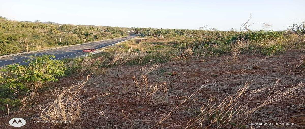 Foto de terreno habitacional en venta en  , san antonio, eduardo neri, guerrero, 29917826 No. 03