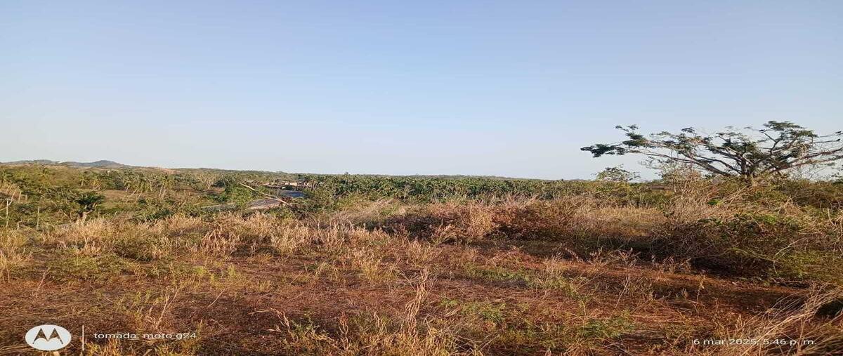 Foto de terreno habitacional en venta en  , san antonio, eduardo neri, guerrero, 29917826 No. 05