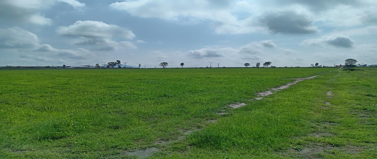 Foto de terreno habitacional en venta en  , san antonio escobedo, polotitlán, méxico, 0 No. 03