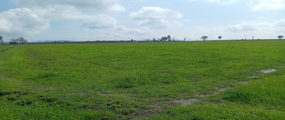 Foto de terreno habitacional en venta en  , san antonio escobedo, polotitlán, méxico, 0 No. 04