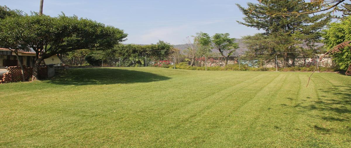 Foto de rancho en venta en  , san antonio guadalupe, zumpahuacán, méxico, 28168237 No. 05