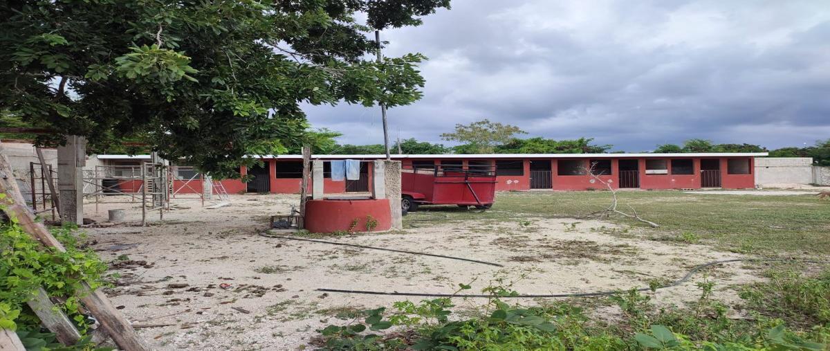 Foto de terreno habitacional en , san antonio hool, mérida, yucatán, 27966304 foto 02 Foto de terreno habitacional en venta en , san antonio hool, mérida, yucatán, 27966304 No. 02