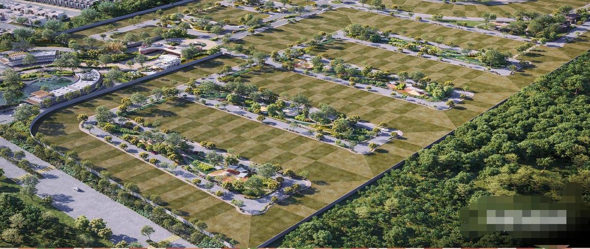 Foto de terreno habitacional en venta en  , san antonio hool, mérida, yucatán, 0 No. 03