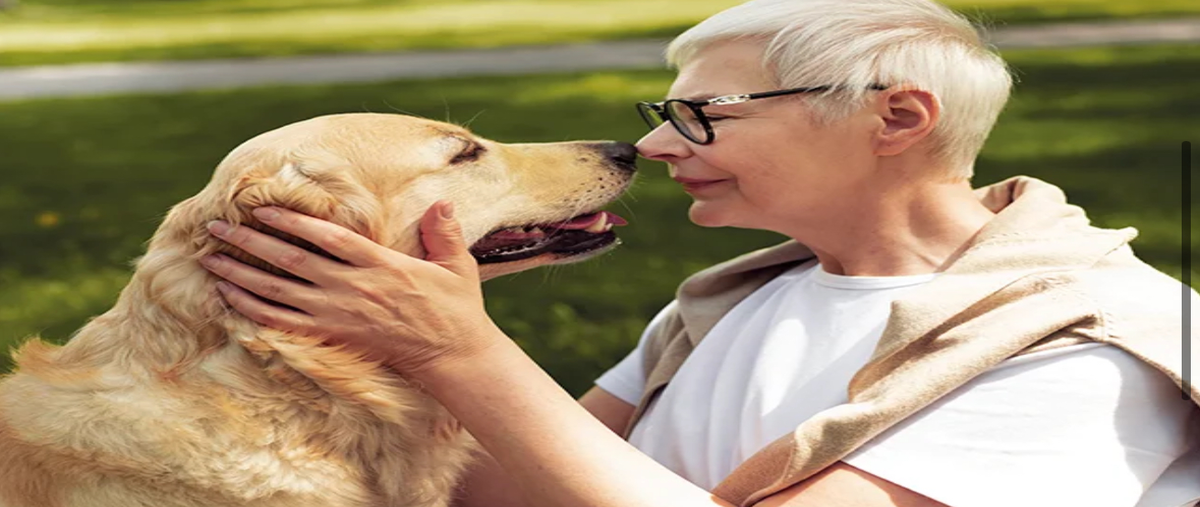 Foto de terreno habitacional en venta en  , san antonio hool, mérida, yucatán, 0 No. 04