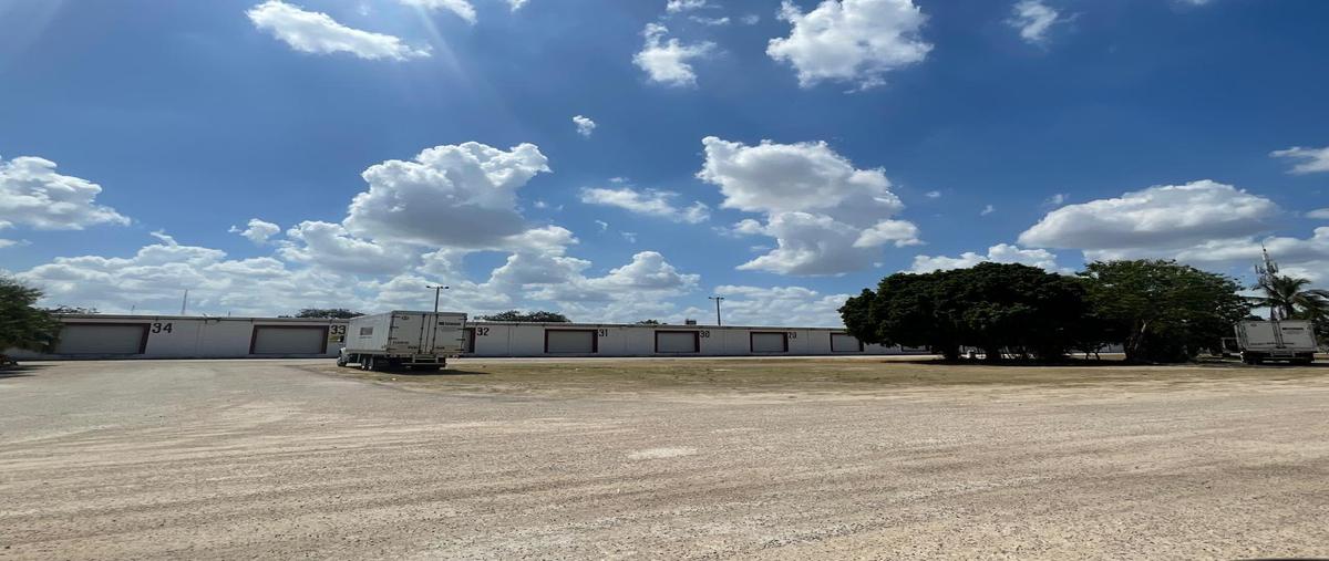 Foto de bodega en renta en  , san antonio hool, mérida, yucatán, 0 No. 05