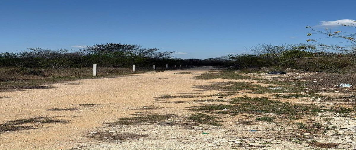 Foto de terreno habitacional en venta en  , san antonio hool, mérida, yucatán, 0 No. 04