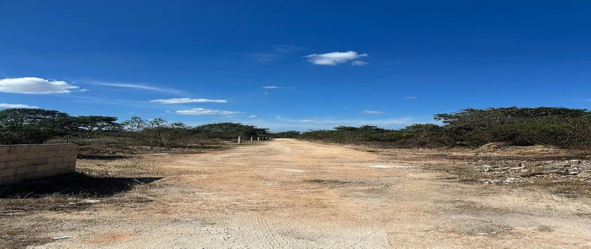 Foto de terreno habitacional en venta en  , san antonio hool, mérida, yucatán, 0 No. 06