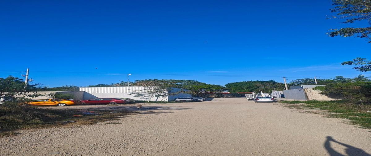 Foto de terreno habitacional en venta en  , san antonio hool, mérida, yucatán, 0 No. 03